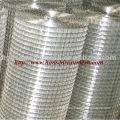 High Quality Galvanized welded wire mesh